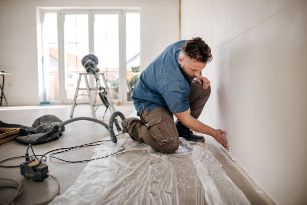 Professional Drywall & Painting Services in Caon City, CO